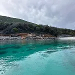 Adepto